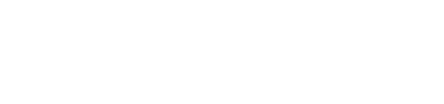 LSR Llona San Román